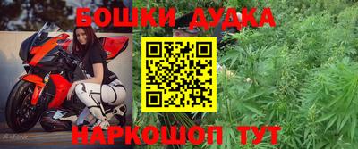шишки Сланцы