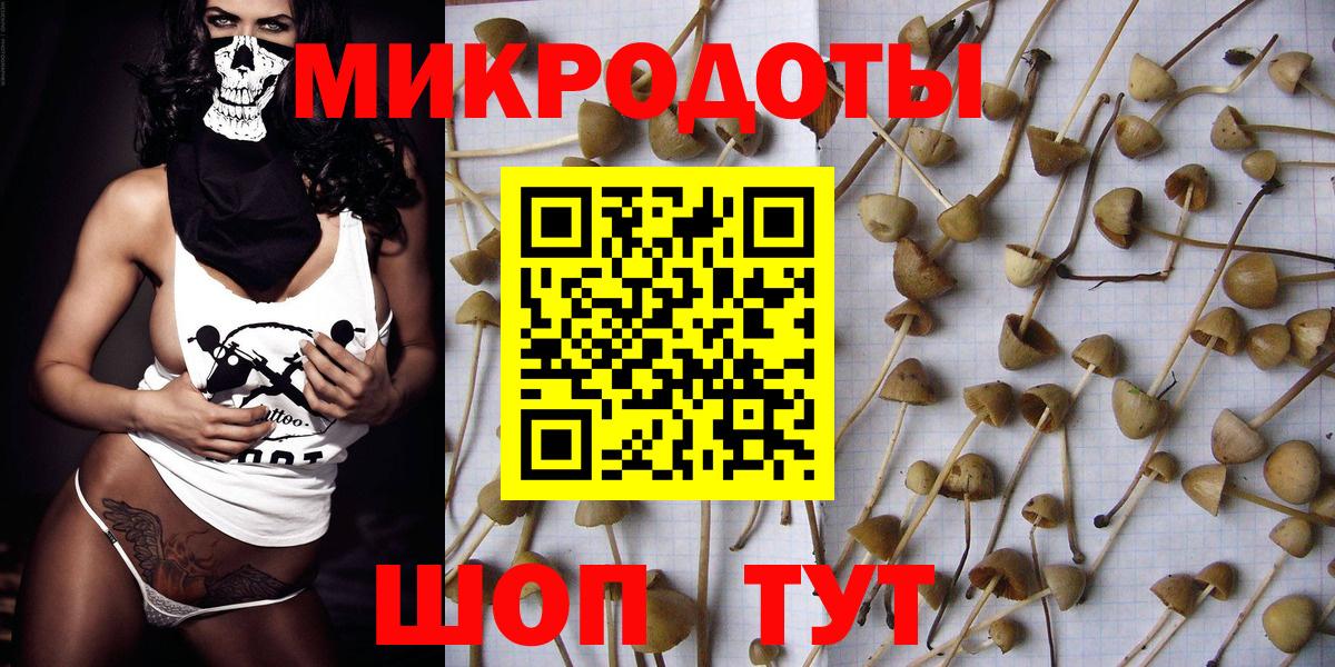 Орск  Галлюциногенные грибы Magic Shrooms  Вход с VPN 