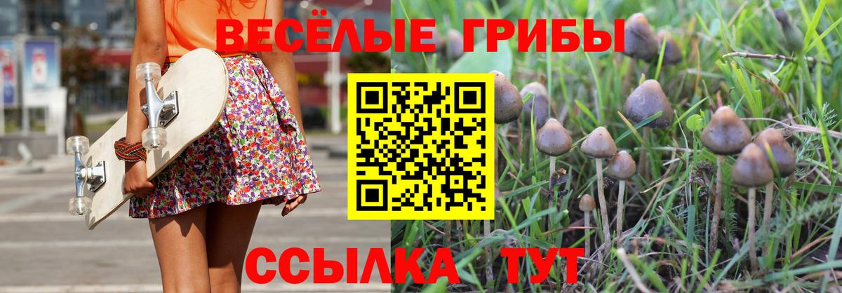 Галлюциногенные грибы Psilocybe Орск